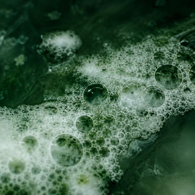 Plant-Based Surfactants